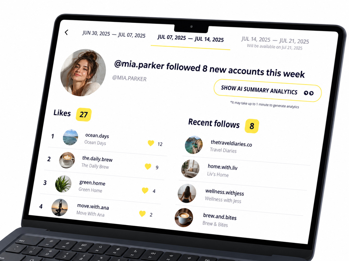 Instagram Following Tracker report dashboard on desktop