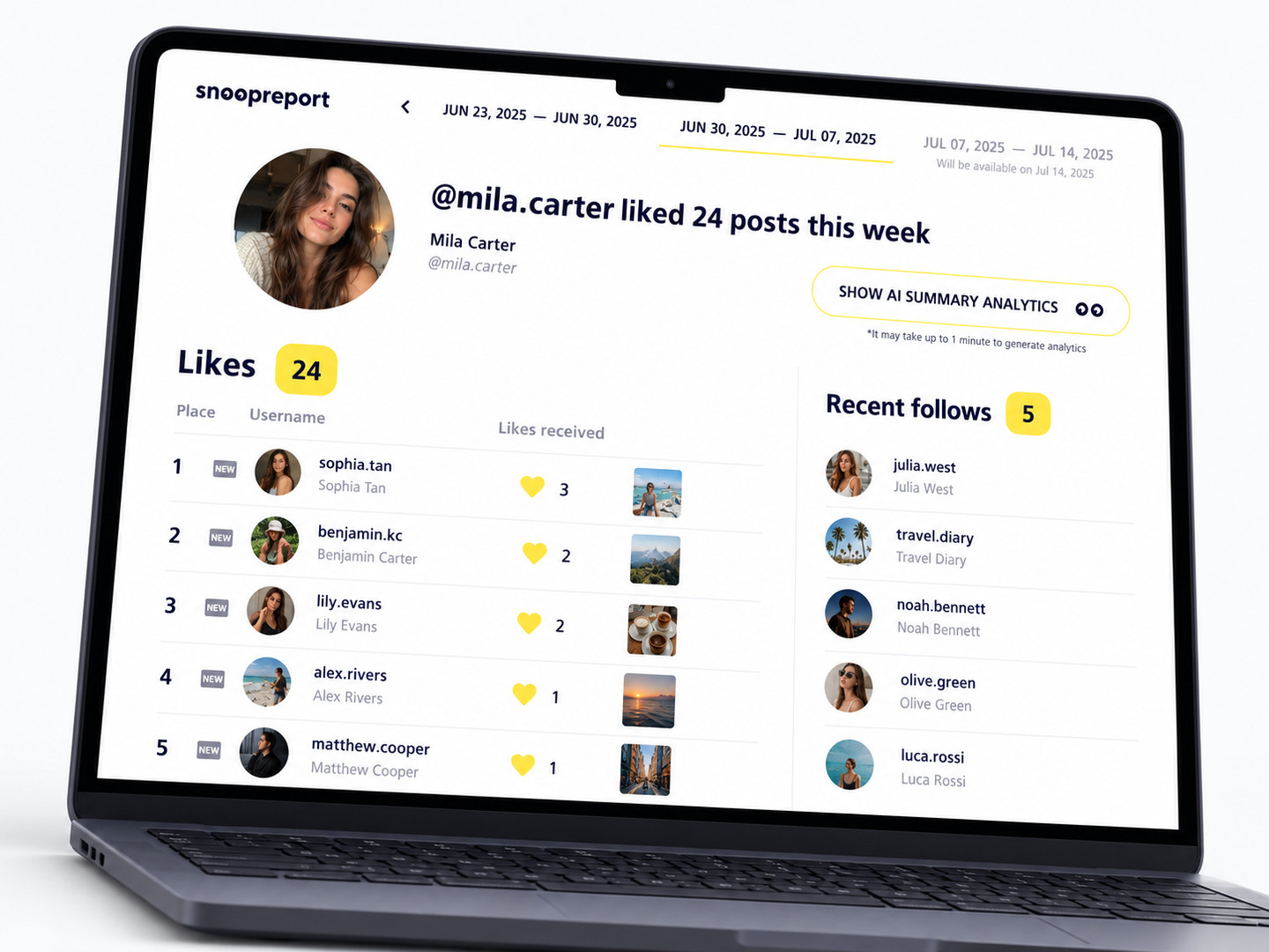 Instagram Likes Viewer report dashboard on desktop