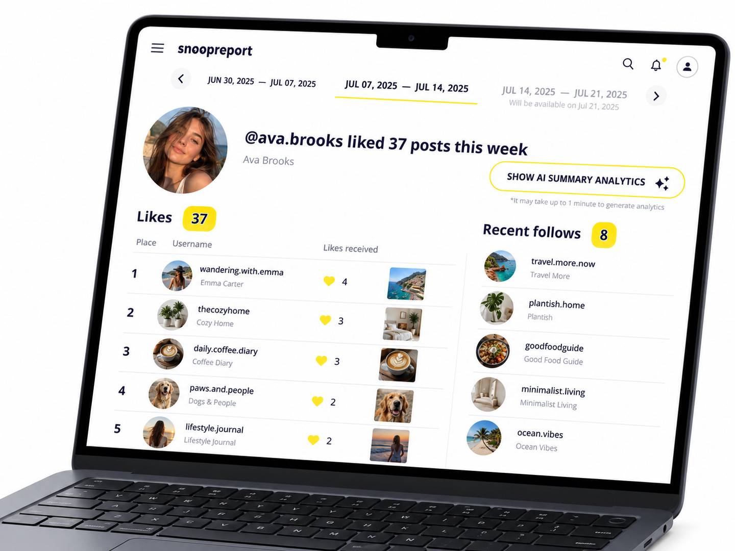 See What People Like on Instagram report dashboard on desktop